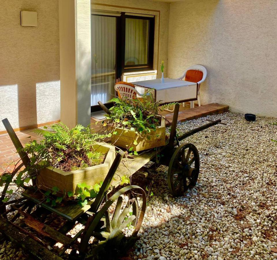 Hotel Krone Riesling Trittenheim Ngoại thất bức ảnh