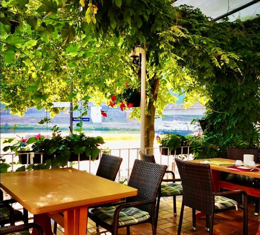 Hotel Krone Riesling Trittenheim Ngoại thất bức ảnh
