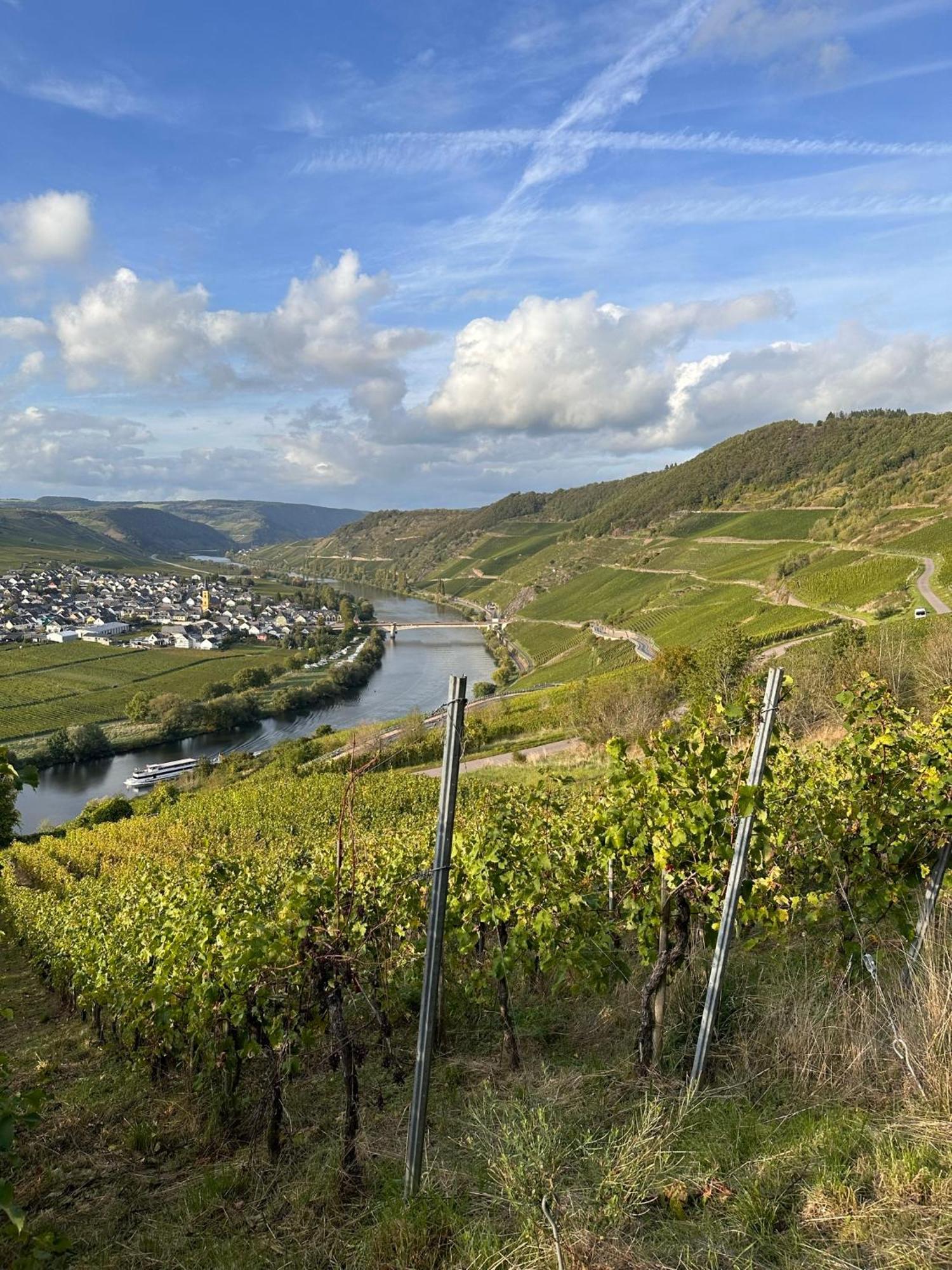 Hotel Krone Riesling Trittenheim Ngoại thất bức ảnh